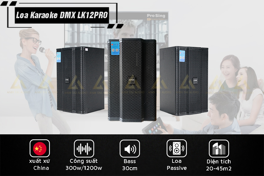 Loa karaoke DMX LK 12 Pro