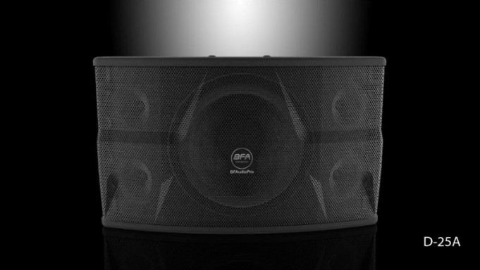Loa karaoke BFAudio D-25A