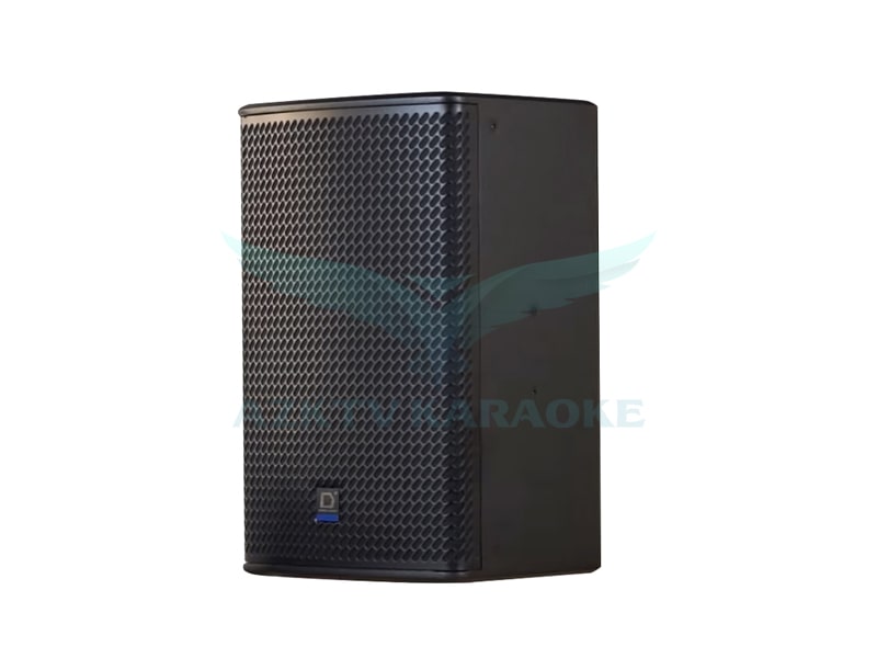 Loa karaoke DMX FX12