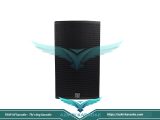 Loa karaoke Martin V10