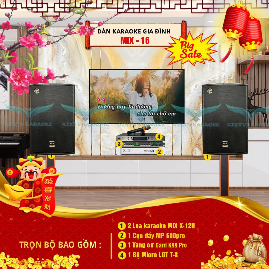 Dàn karaoke gia đình MIX 16 cao cấp