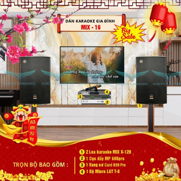 Dàn karaoke gia đình MIX 16 cao cấp
