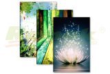 Tranh tiêu âm chống vọng phòng gia đình