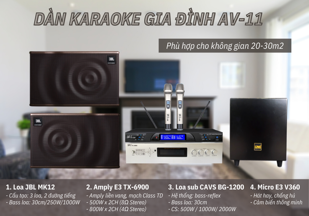 Cấu hình âm thanh của Dàn karaoke gia đình AV-11