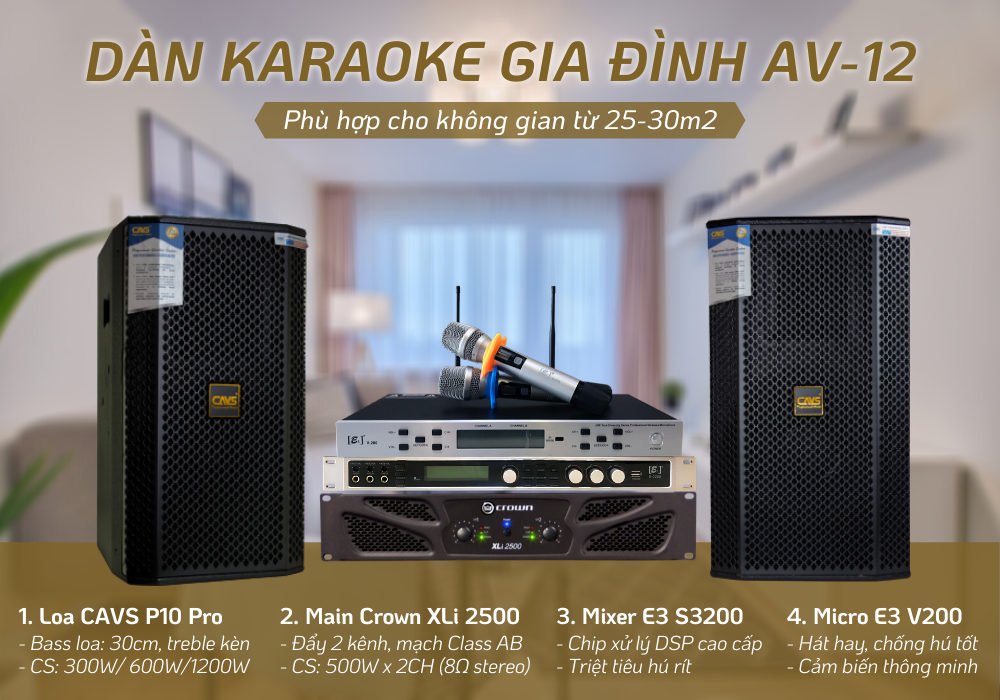 Chi tiết từng thiết bị âm thanh trong bộ Dàn karaoke gia đình AV-12