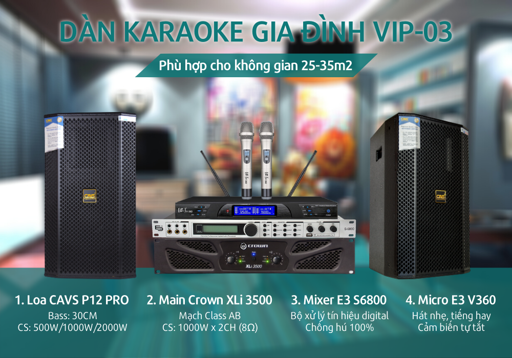 Chi tiết từng thiết bị âm thanh trong bộ Dàn karaoke gia đình AV-13