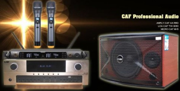 Loa CAF karaoke TW 3010 chuyên nghiệp