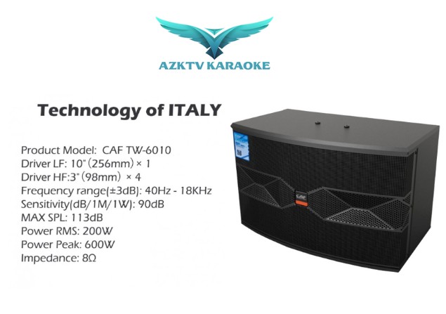Đặc Điểm Nổi Bật Loa CAF karaoke TW 6010