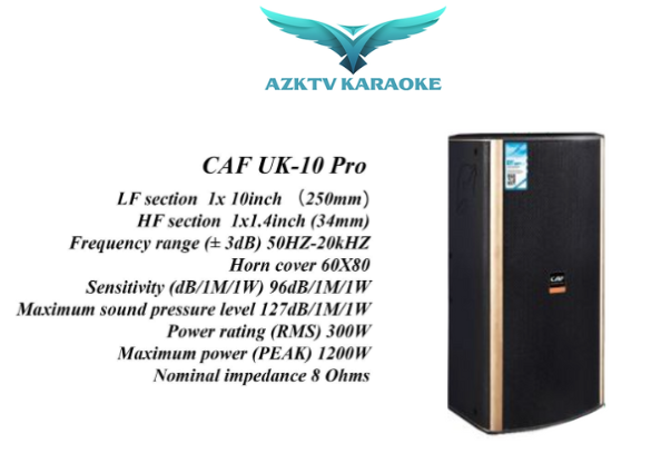 Thông số kỹ thuật Loa karaoke CAF UK 10 Pro đẳng cấp 